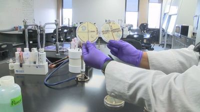 Image for story: West Texas A&M University joins initiative to discover new antibiotics 