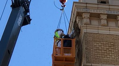 Image for story: Large bee hive removed from The Windsor in downtown Abilene
