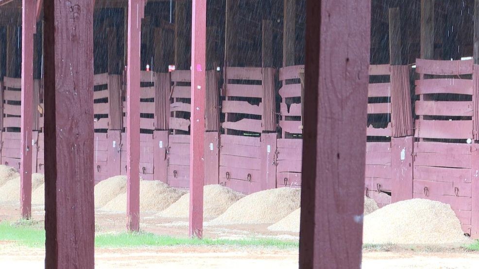 Image for story: Alabama opens barns for livestock evacuation ahead of Helene