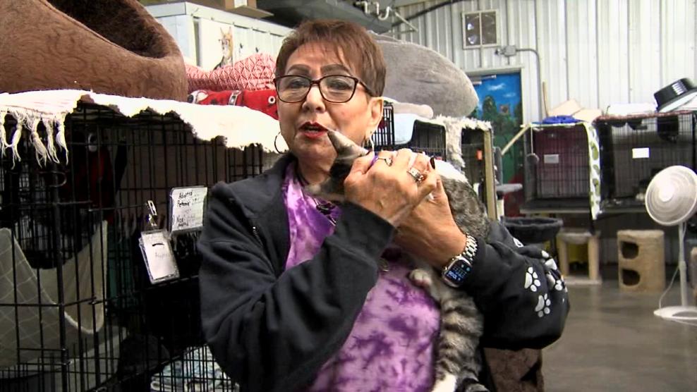 Image for story: Pet of the Week: Pixie