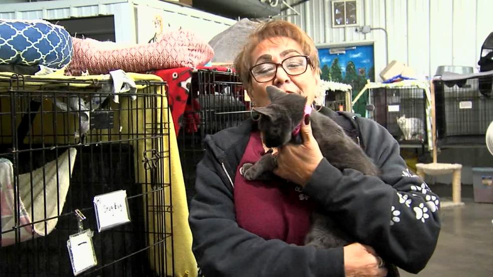 Image for story: Pet of the Week: Delilah