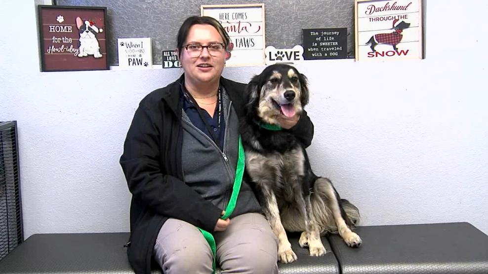 Image for story: Pet of the Week: Daphne
