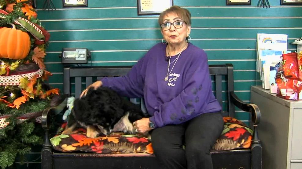 Image for story: Pet of the Week: Tatum