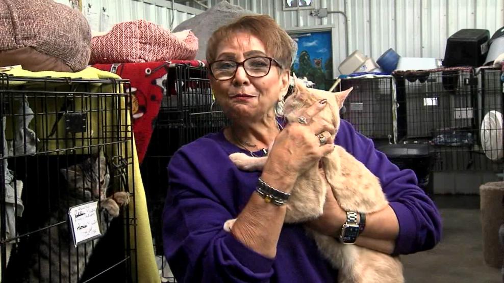 Image for story: Pet of the Week: Saturn