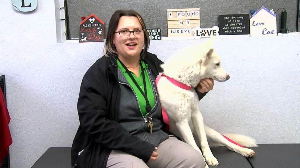 Image for story: Pet of the Week: Gomez