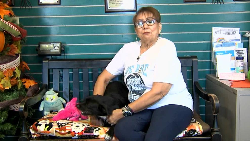 Image for story: Pet of the Week: Oliver