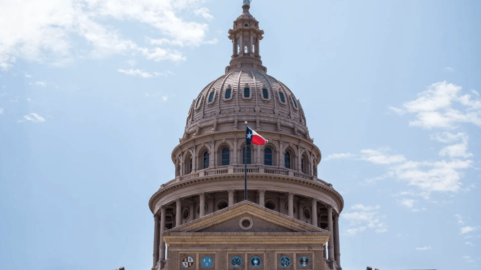 Image for story: Texas Senate files school choice legislation