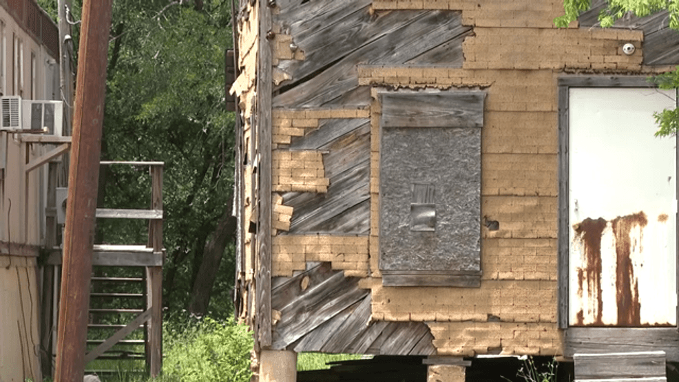 A Texas family is mourning the loss of their loved one who died after a bee attack. (CNN Newsource)