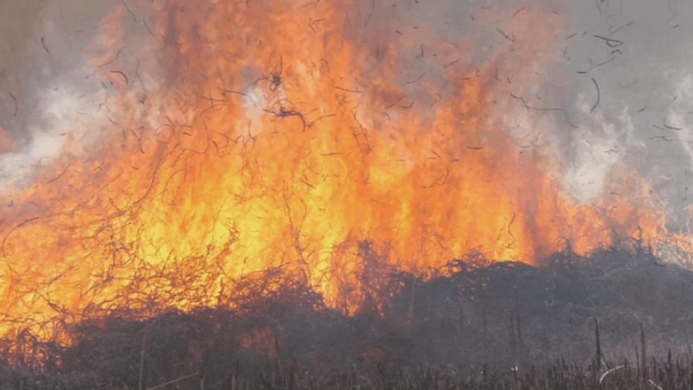 Image for story: Wildfire hero: Storm chaser saves elderly woman during historic wildfire